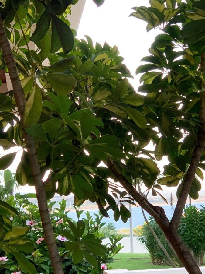 Wow Relax+terrace+3 Minutes To Beach+10 Min Appartement Lagos